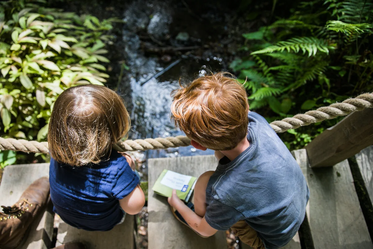Jack and Ethan exploring Glendugran Gardens and learning about the amazing plants there.