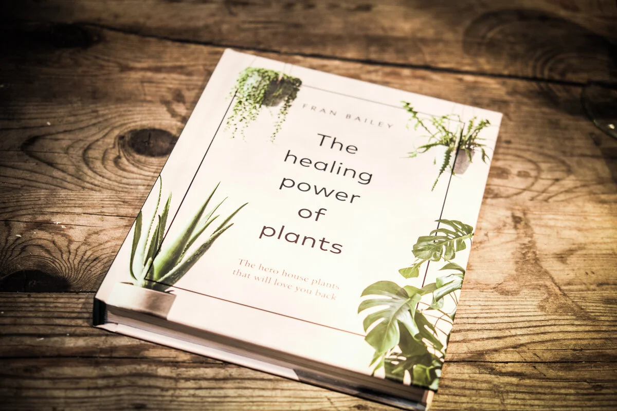 The amazing book by Fran Bailey, the Founder of Forest . Photo by Suzanne Mitchell