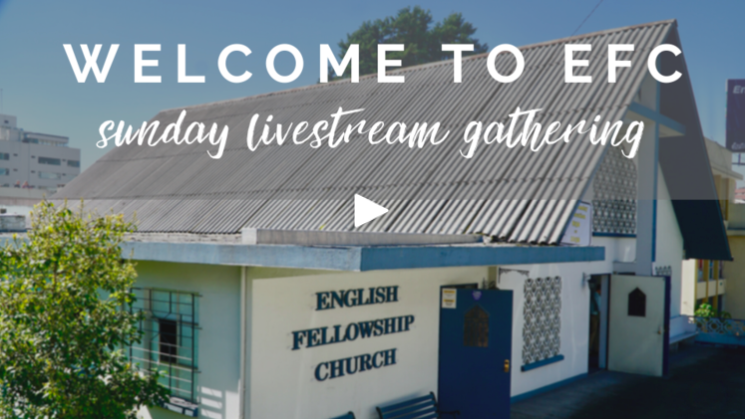 Screen Shot 2020-08-02 at 9.10.27 PM.png