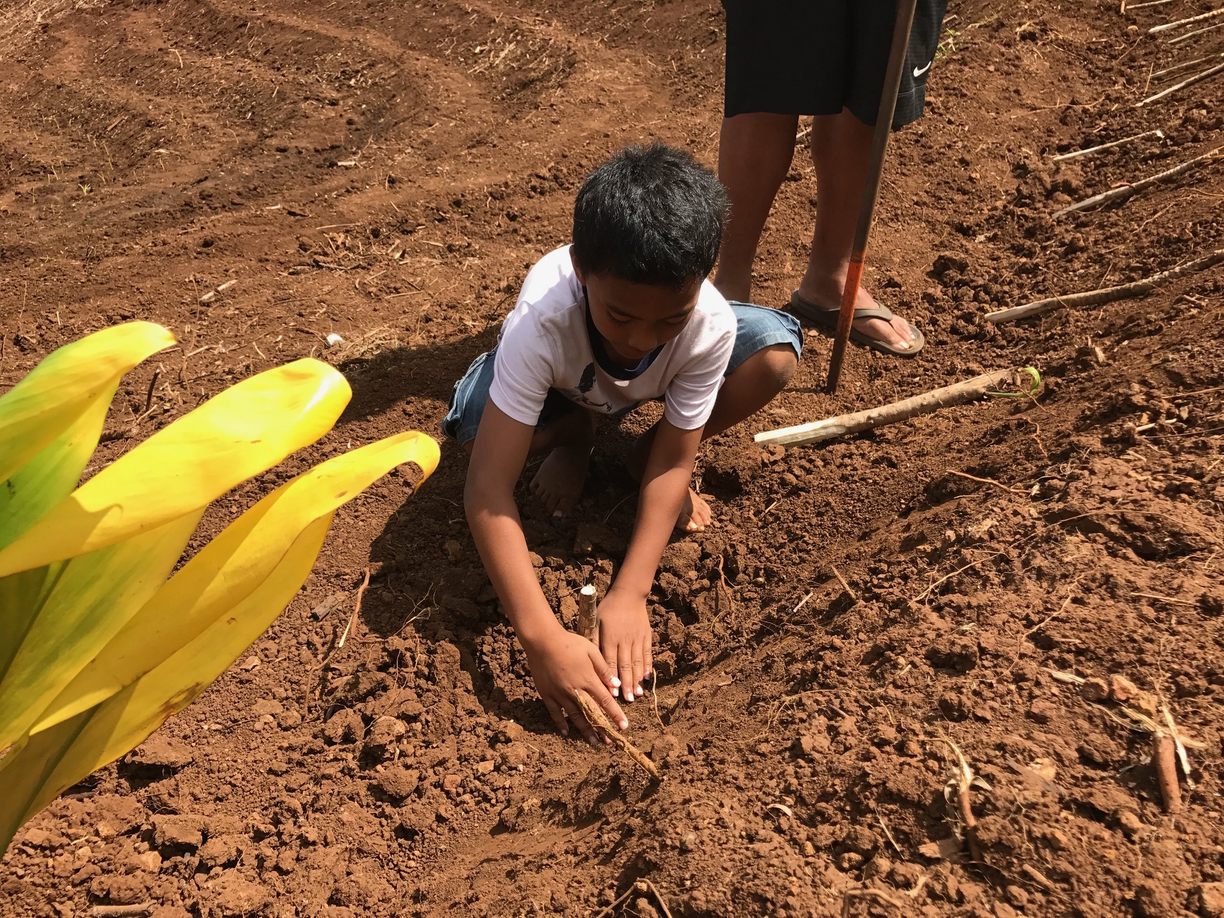 Brandon's nephew helping him plant.