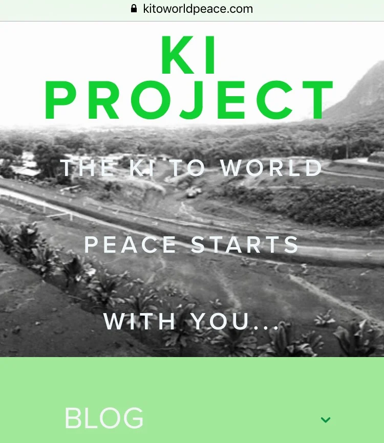 Click on the small green down arrow to the right of "BLOG" and scroll down to find the "DONATE" tab.