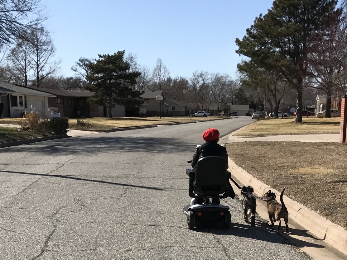 This is not the kind of wheelchair I'm talking about. I might respect someone who circled the health club parking lot in this rig. By the way, there was a third dog riding on the scooter. Respect. This must have been a logistical nightmare to get out the door. 