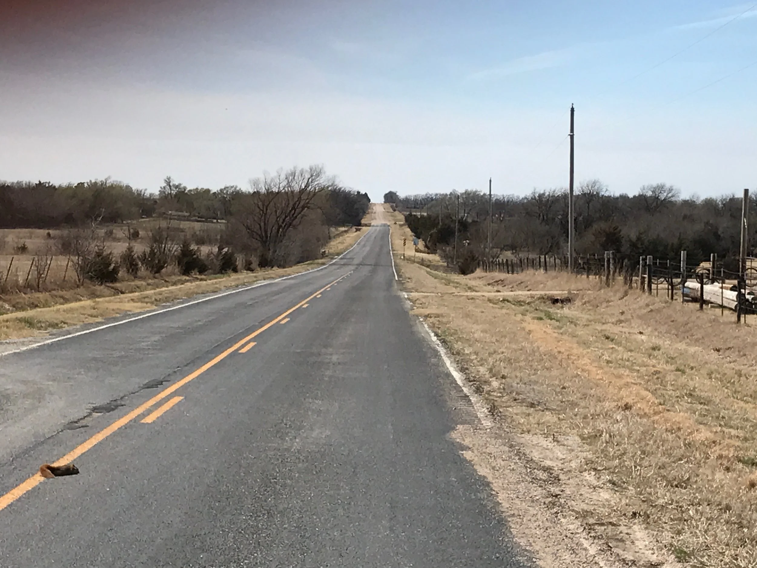*the transition to tarmac was actually intermixed with dead squirrels. **there was also a dead badger, but I couldn't retrieve the phone quickly enough to take a terrified snapshot before I pedaled away in horror.