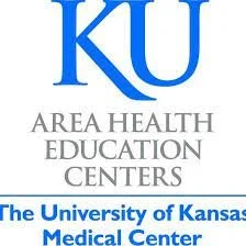 Chronic Disease Management Summit Webinar