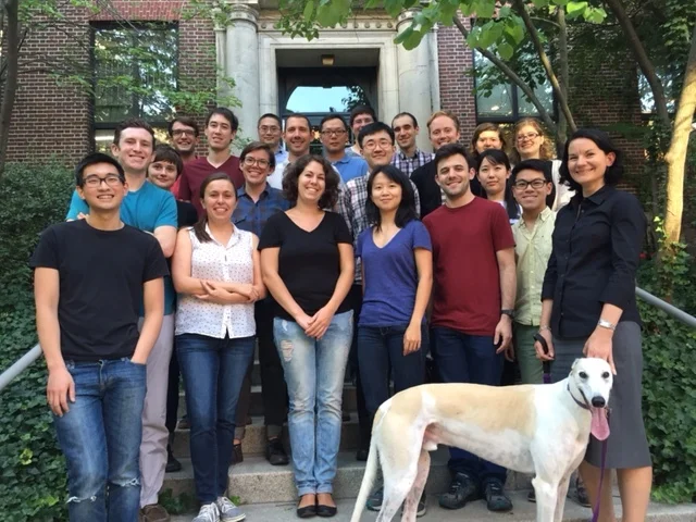 group photo 2015.jpeg