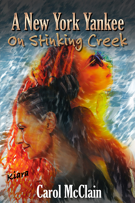 ANewYorkYankeeOnStinkingCreekCoverArtPaid72dpi.jpg