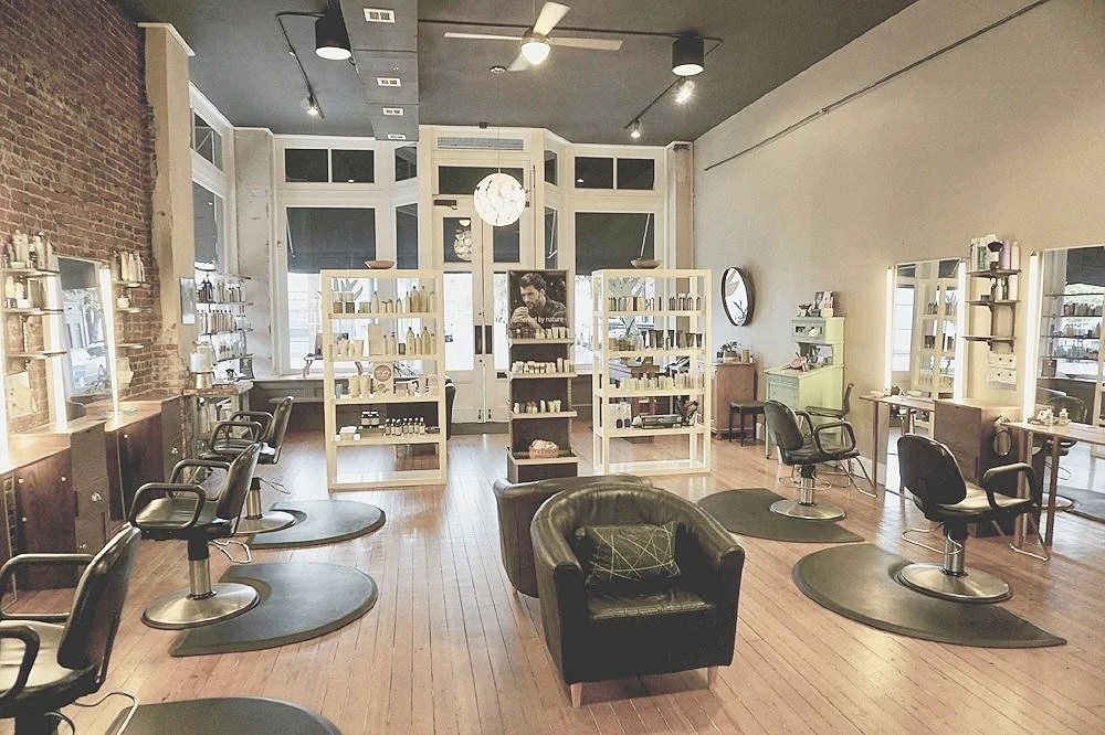 salonback1.jpg