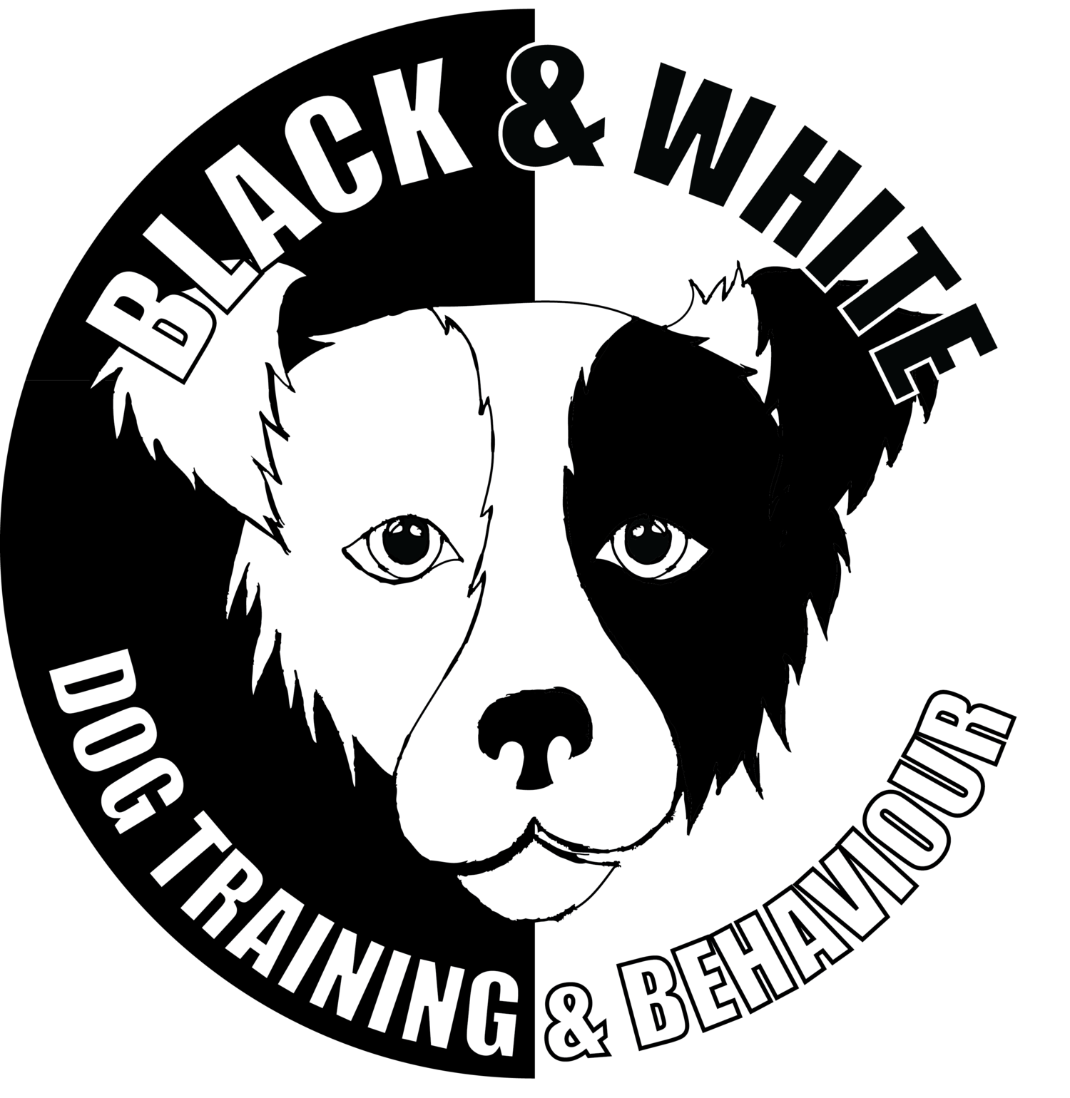 Black & White Dog Training and Behaviour