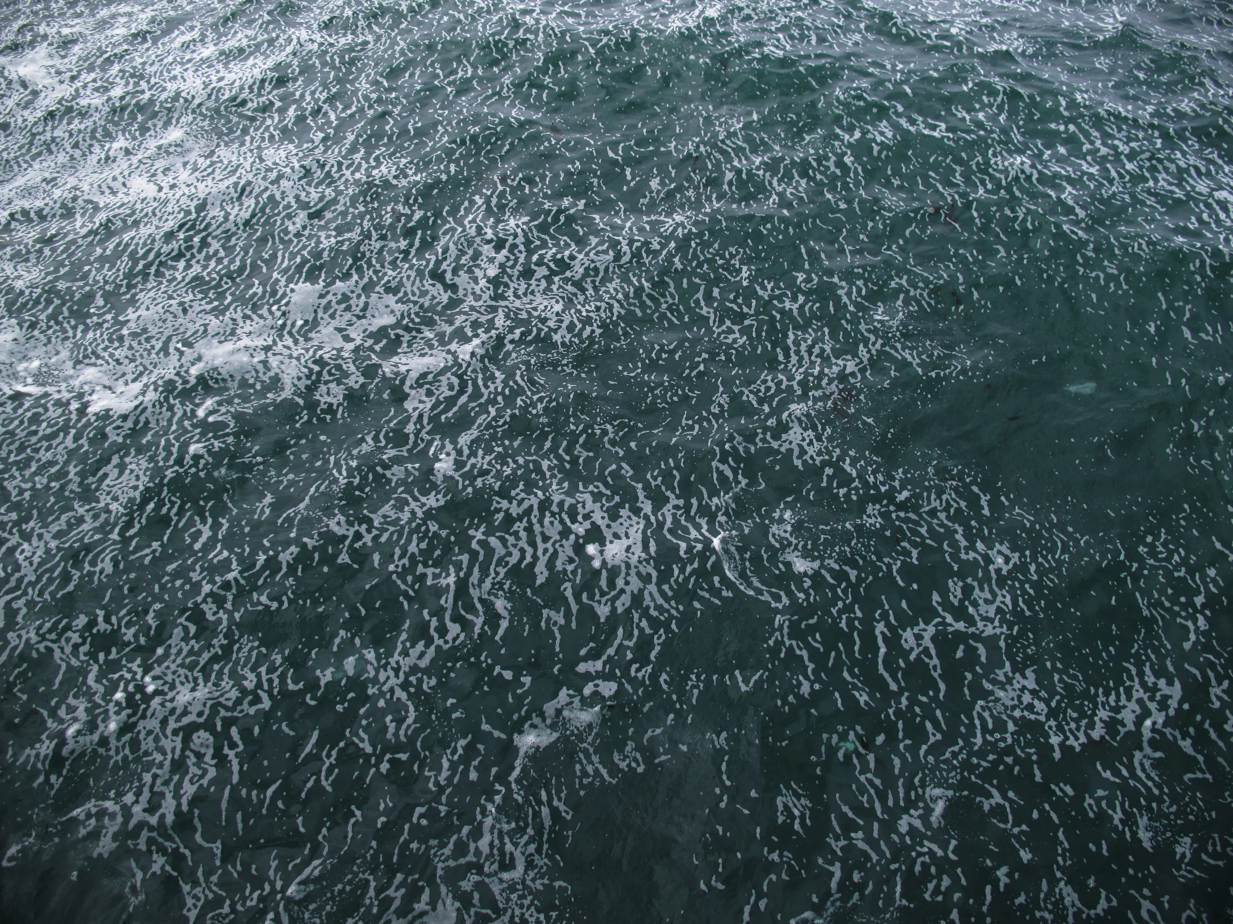 Ocean 
