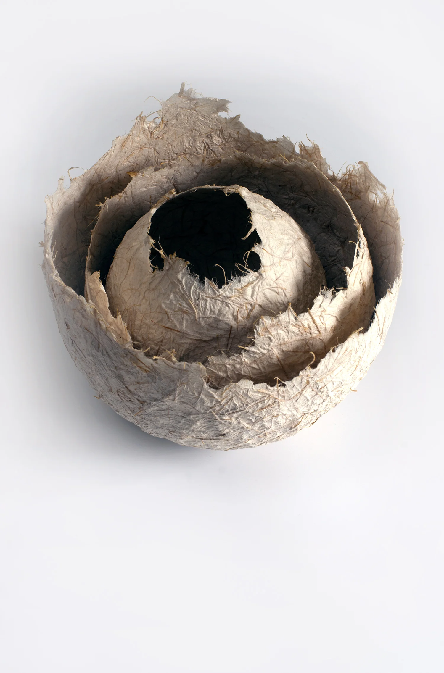 sculpt2medium.jpg