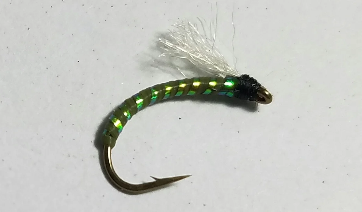 Olive Stupidy