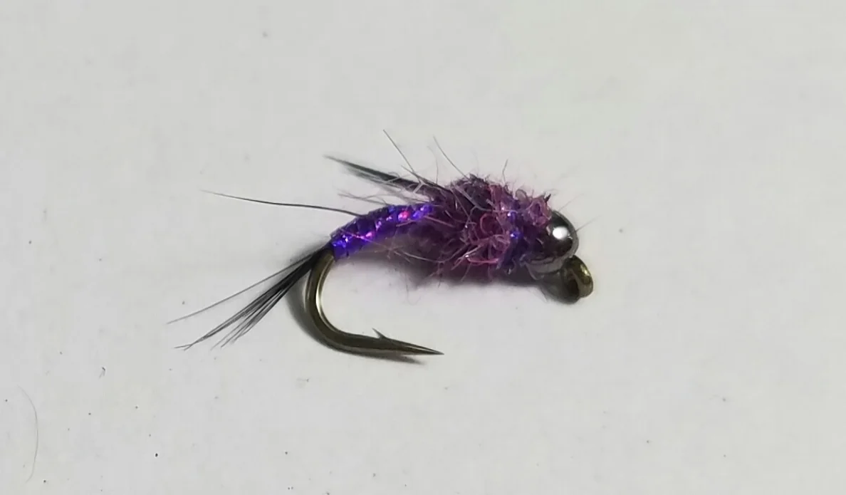 Lightning Bug Purple