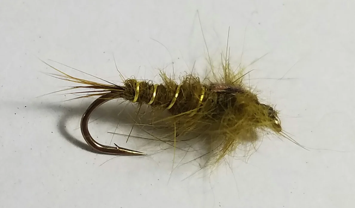 Hares Ear Olive