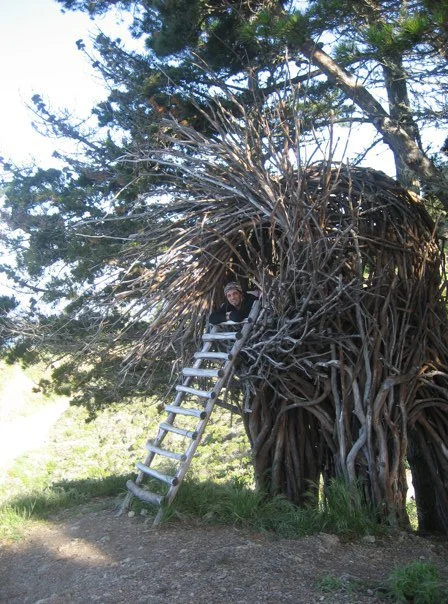 in the nest.jpg