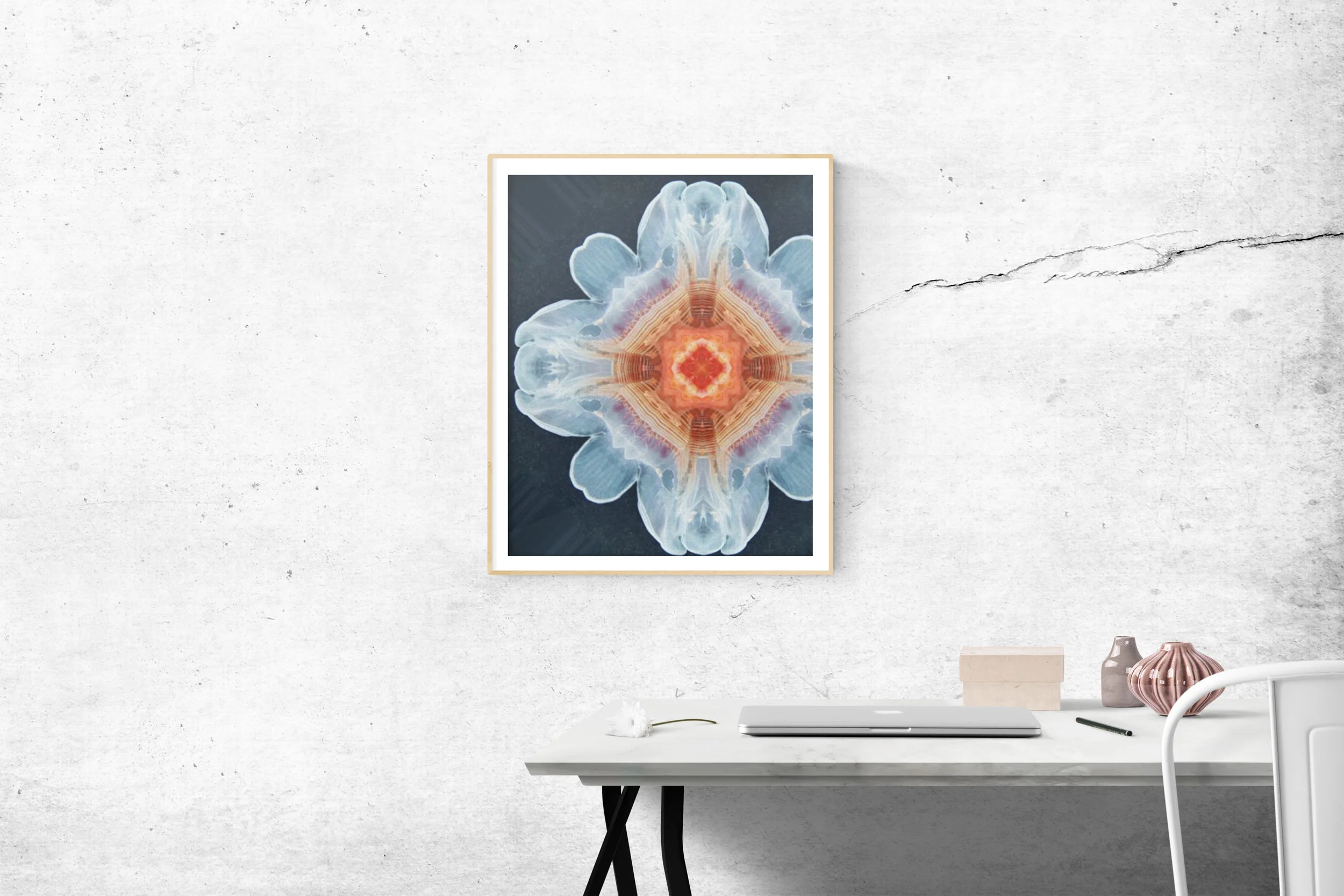jellyfish framed.jpg