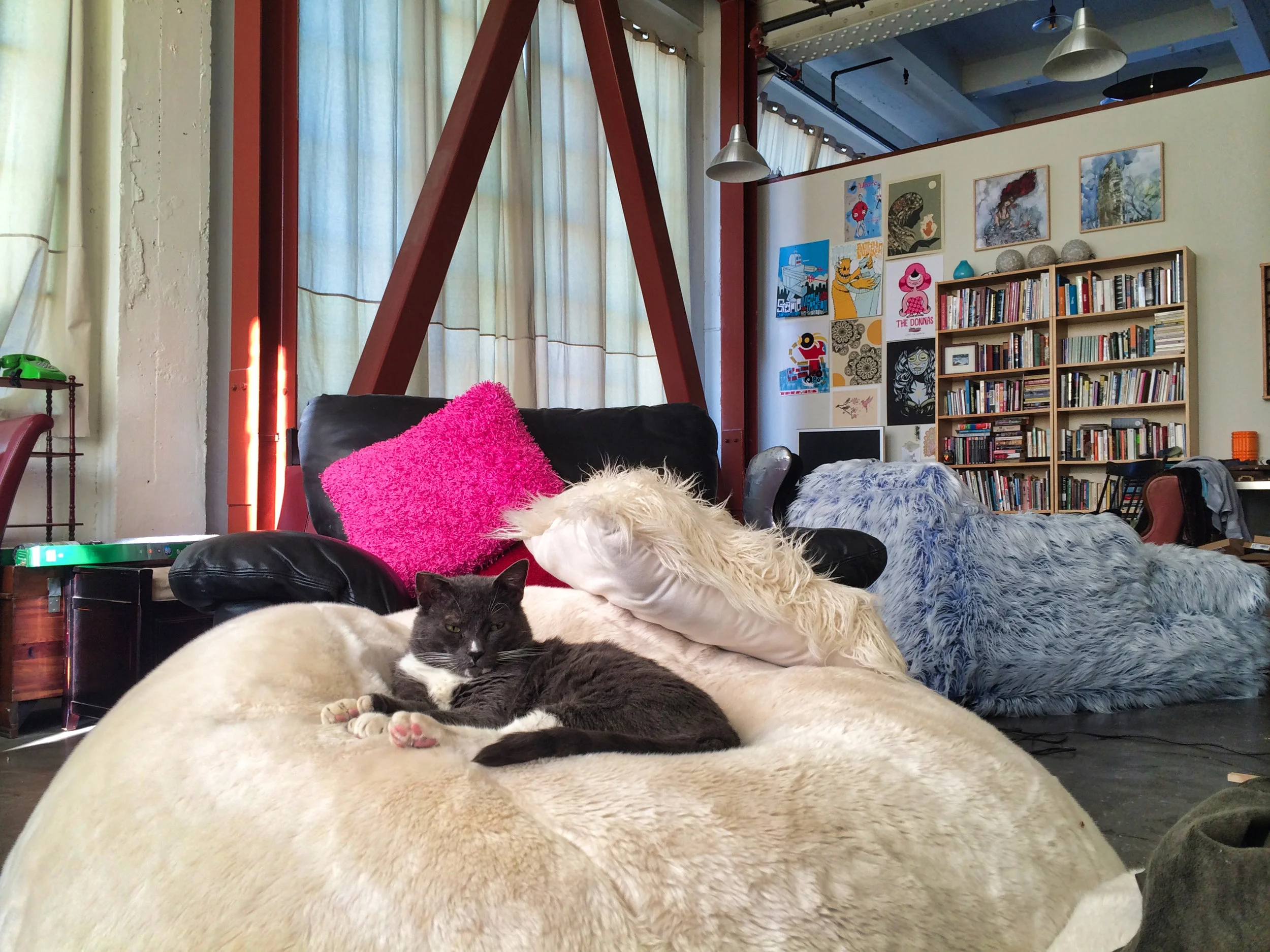 king of the beanbag.jpeg