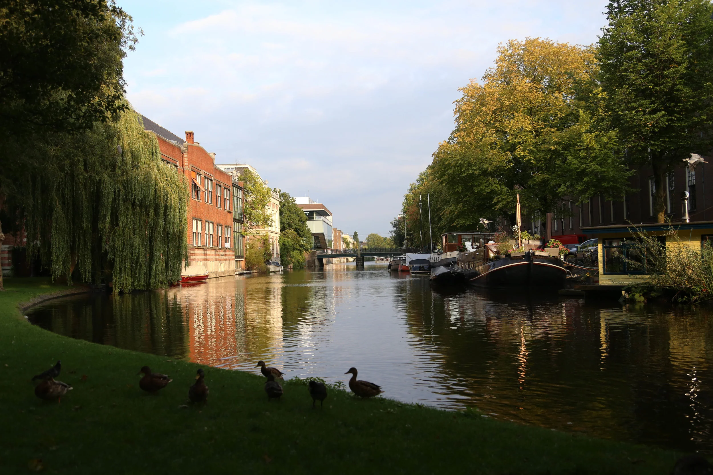 amsterdam.jpg