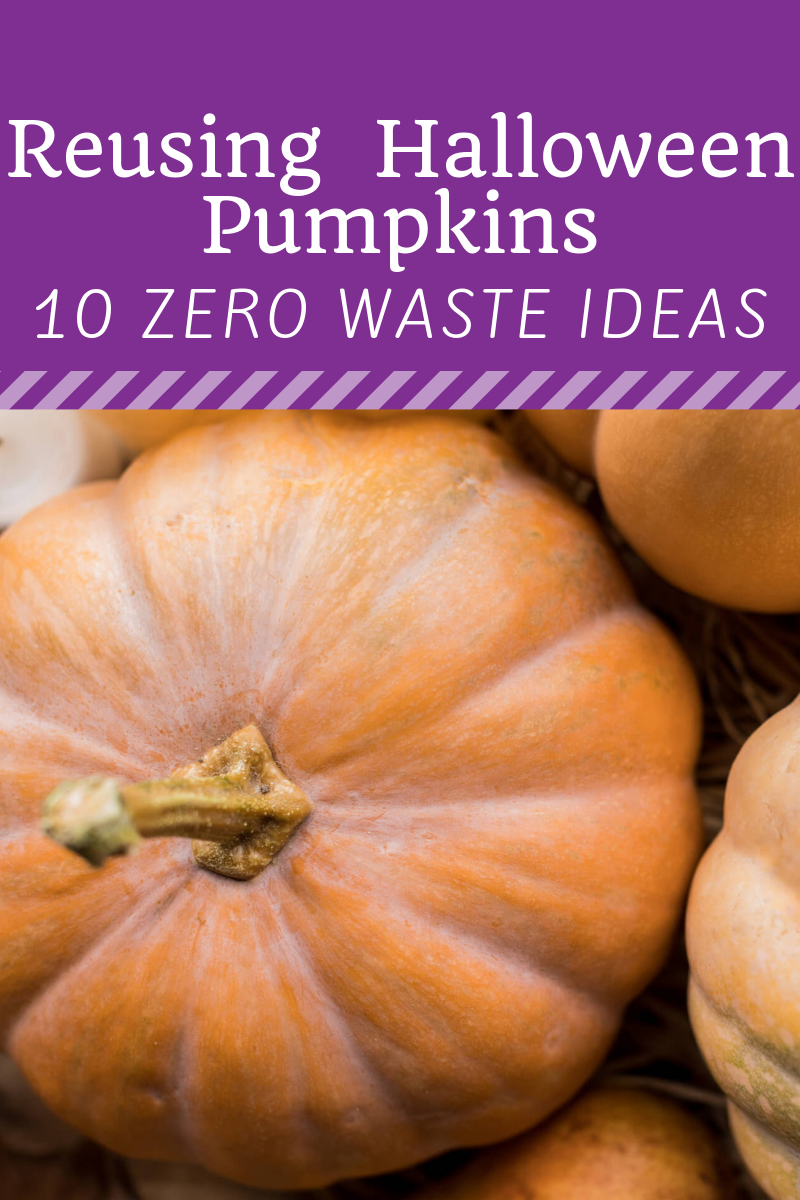 10 Ideas To Reuse And Recycle Halloween Pumpkins For A Zero Waste Lifestyle