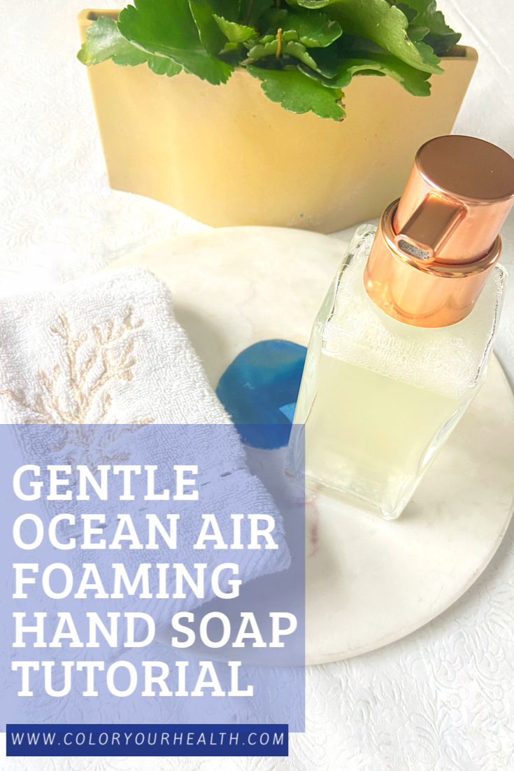 Easy Foaming Hand Soap Recipe –