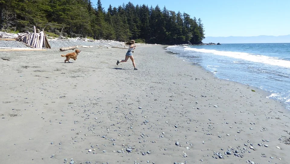 petsitrunning.jpg