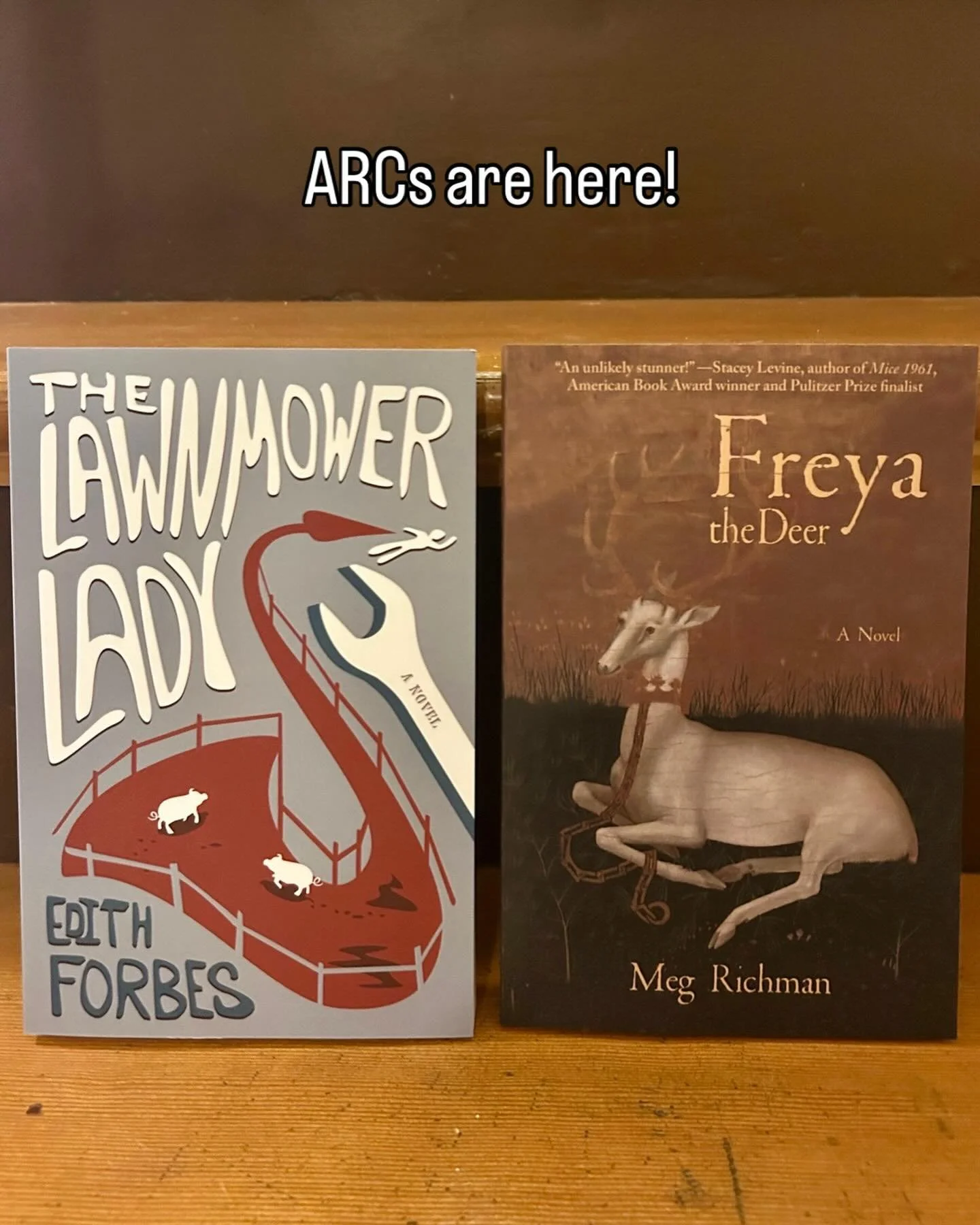 ARCs (advanced review copies) are here for two very special novels: THE LAWNMOWER LADY by Vermont author Edith Forbes and FREYA THE DEER by Seattle author Meg Richman @megrichmanseattle, both releasing in March. If you&rsquo;re a book reviewer or a r
