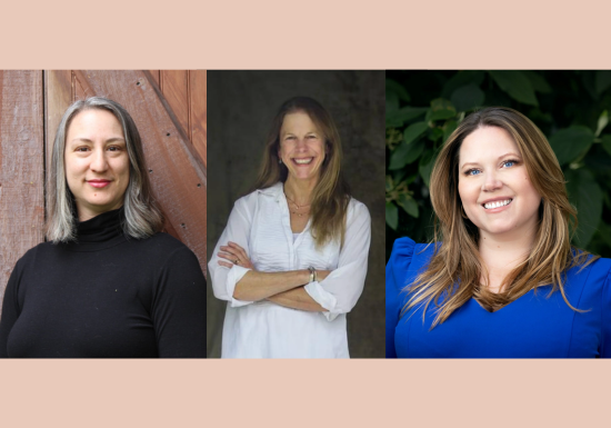 Vermont Publishing Panel with Kolber, Others