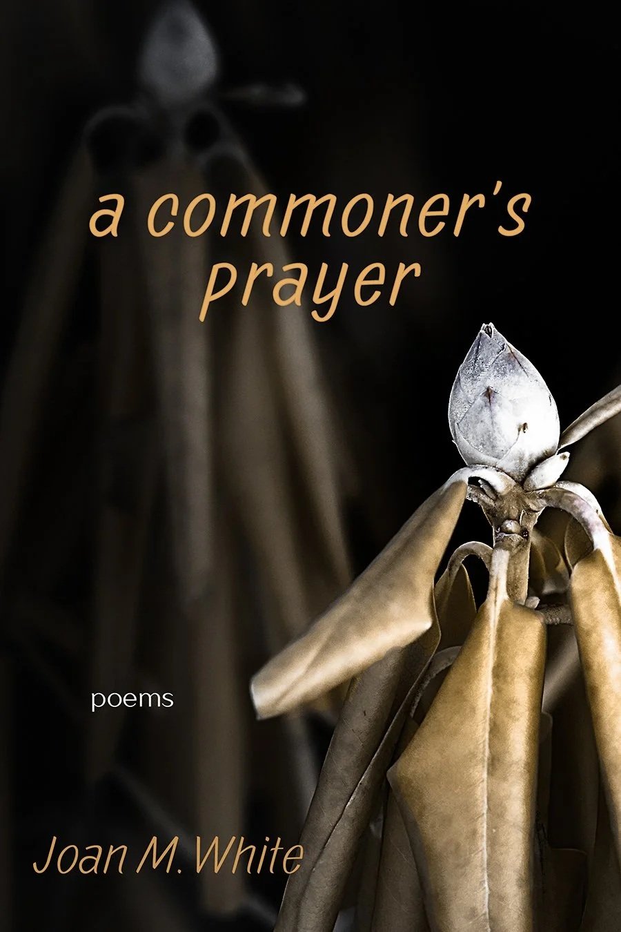a commoner's prayer: poems