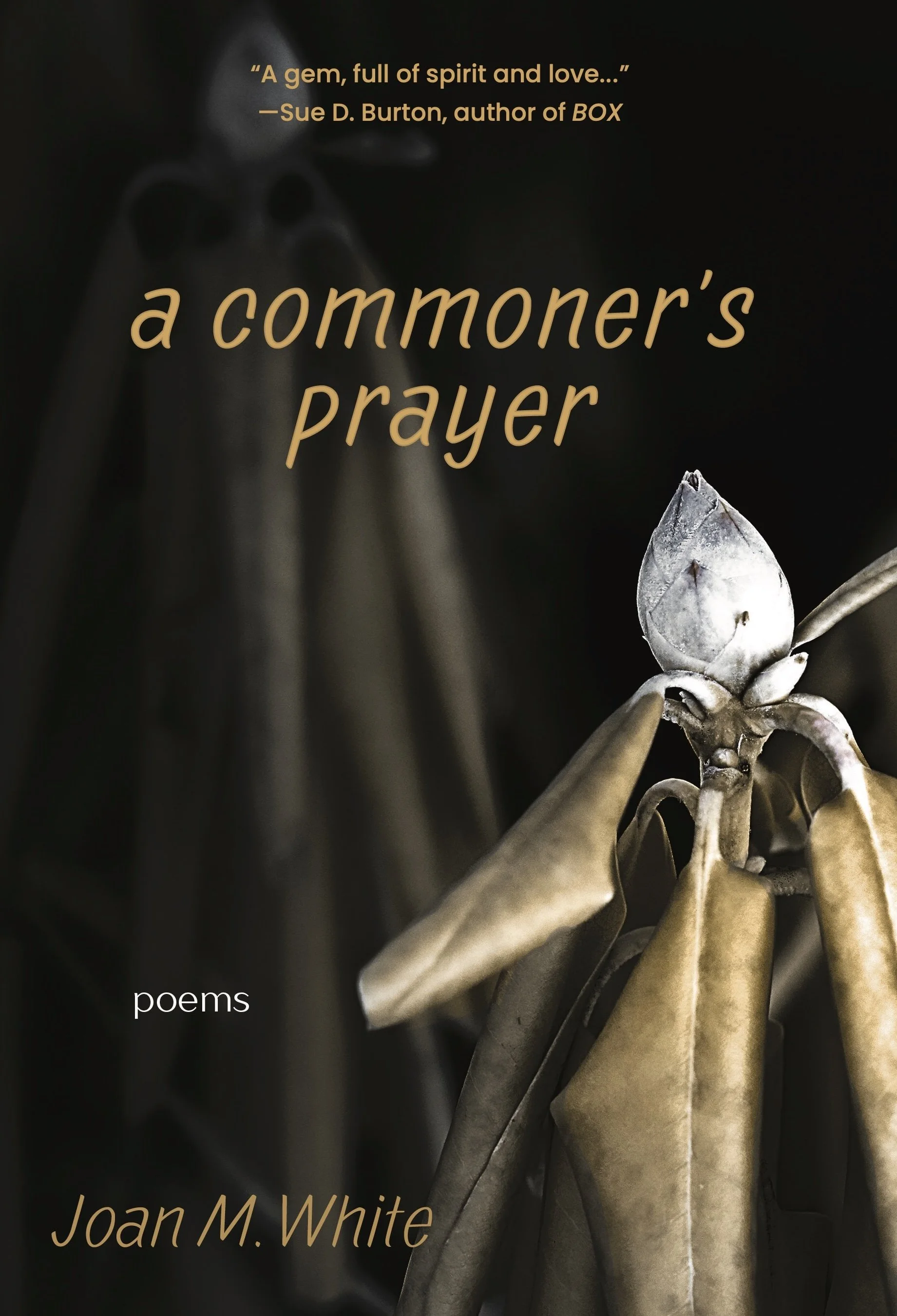 a commoner's prayer: poems