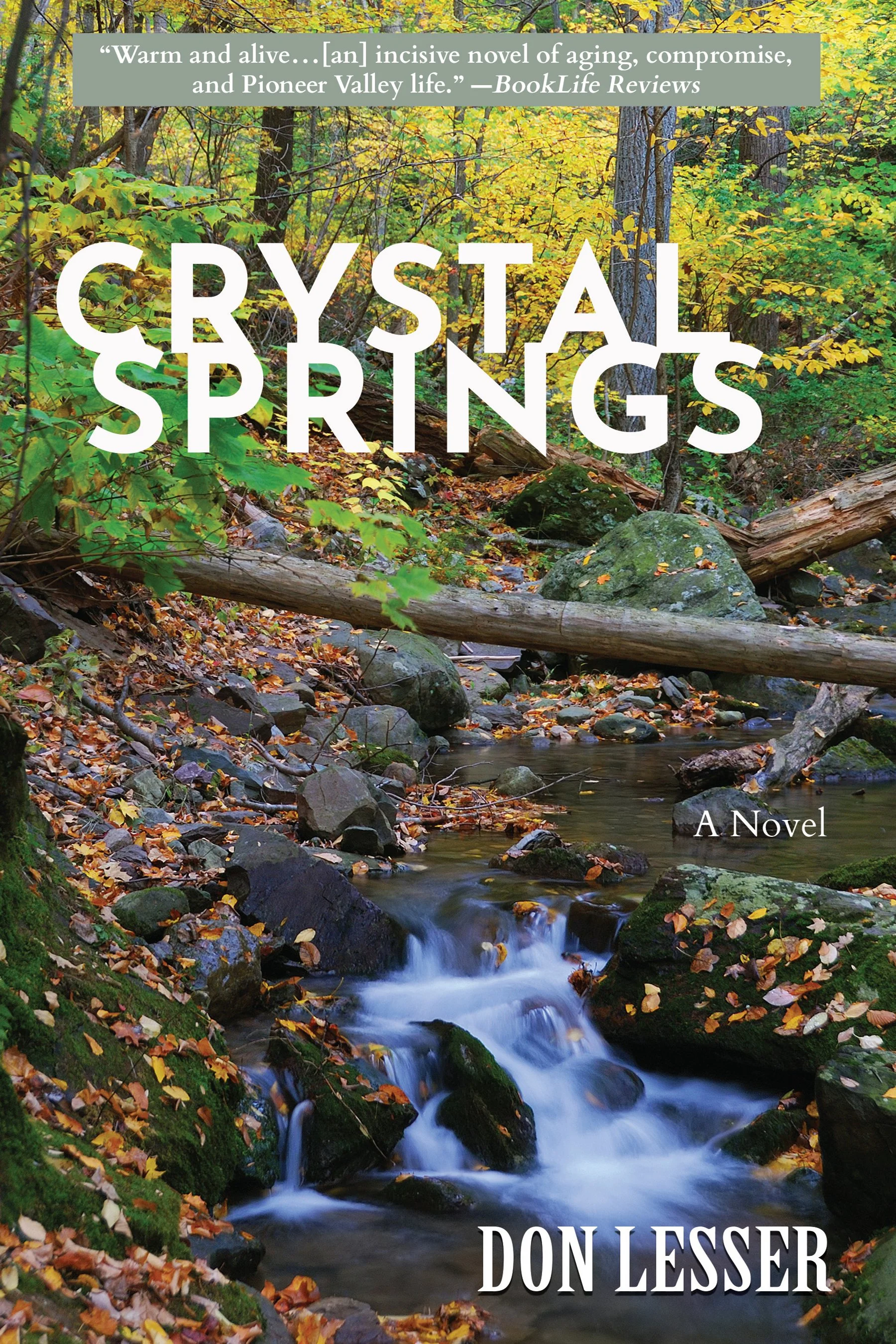 Crystal Springs: a Novel
