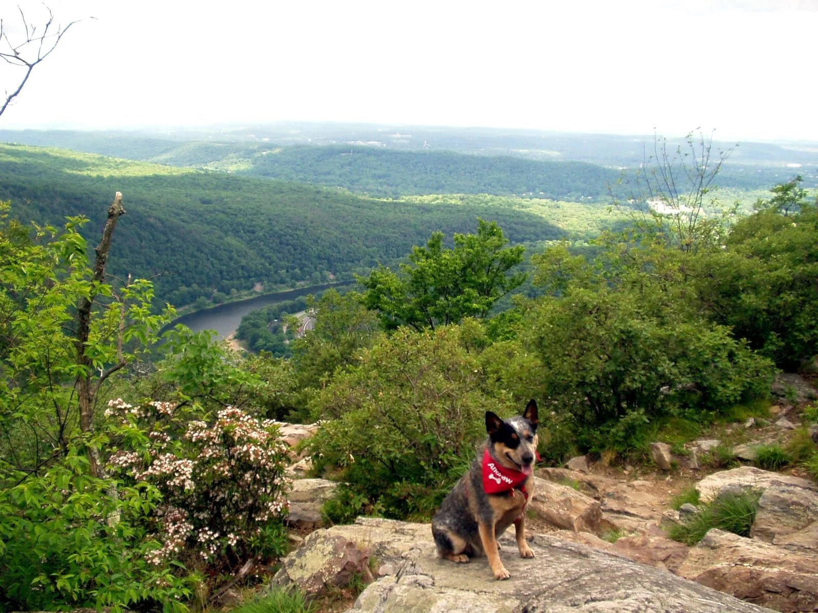 Pennsylvania — Hike With Your Dog