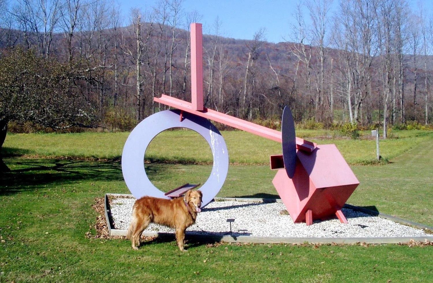 A Bark In The Park Berkshires Hike With Your Dog