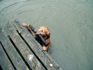 Best Canine Hike to a Doggie Swimming Hole