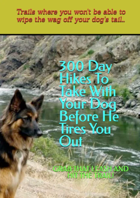 300Cover.jpg