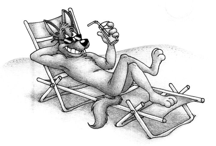 dog on beach-greyscale 2.jpg