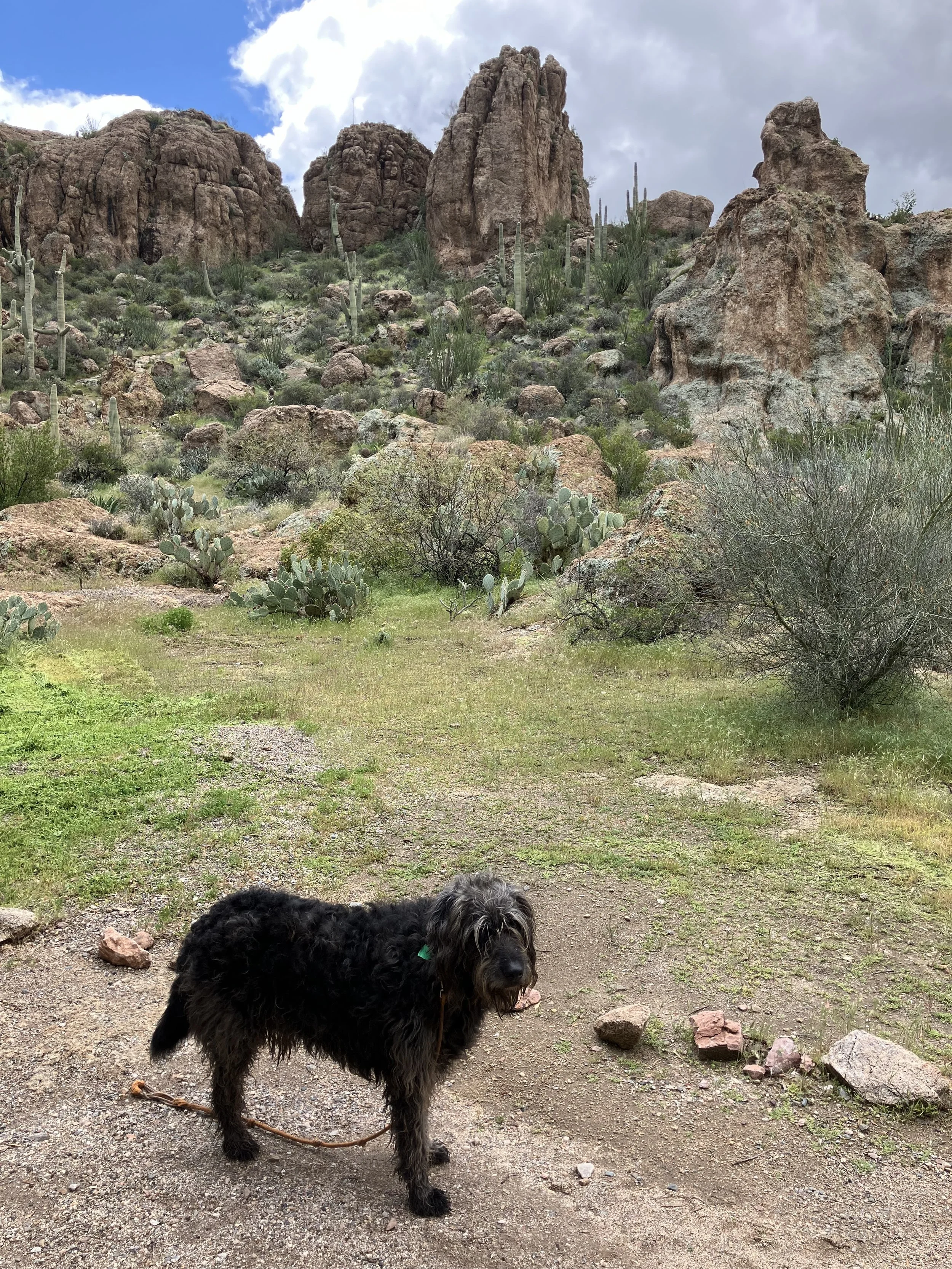 Superstition Mountains AZ