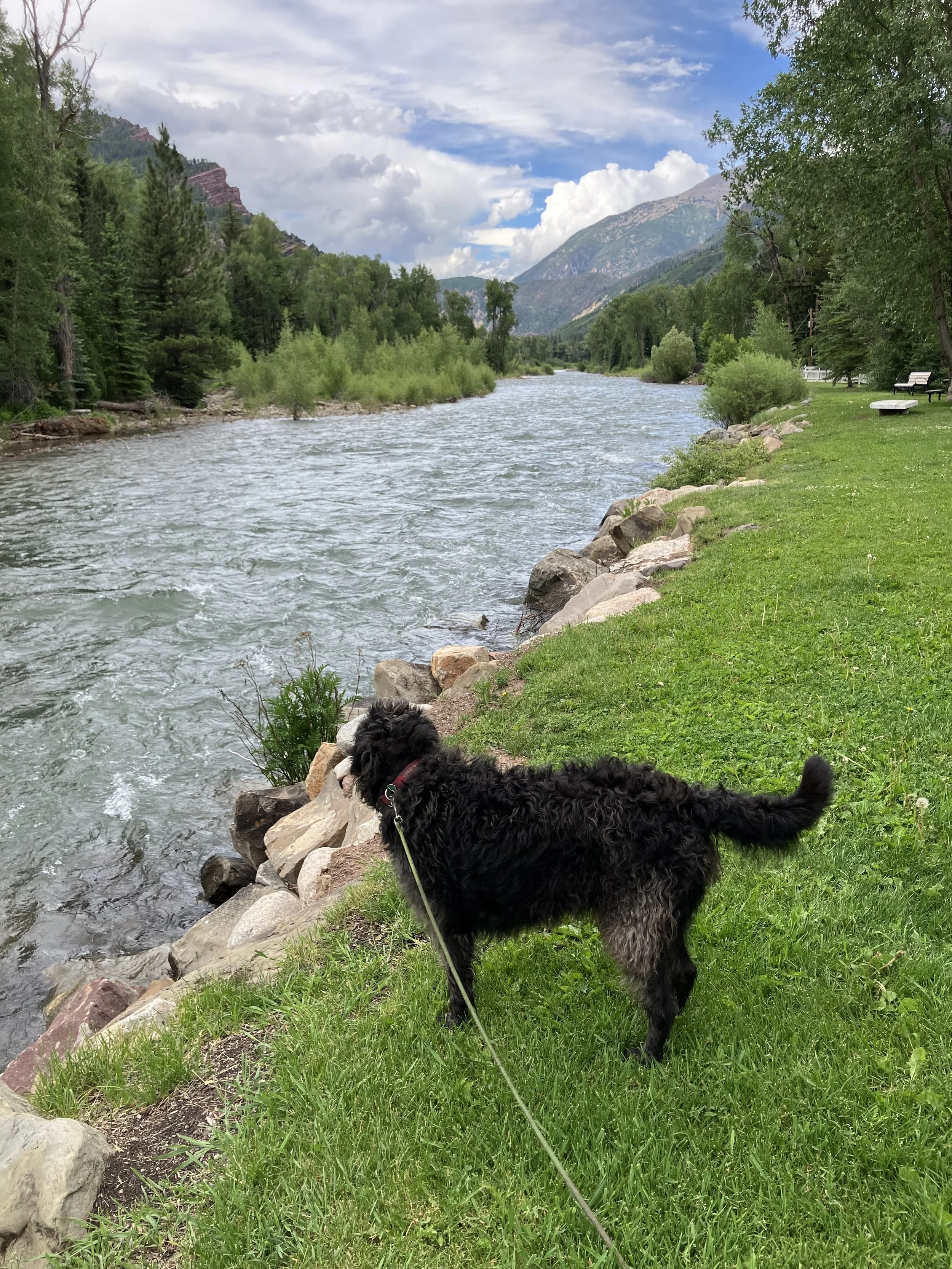 Steamboat Springs CO