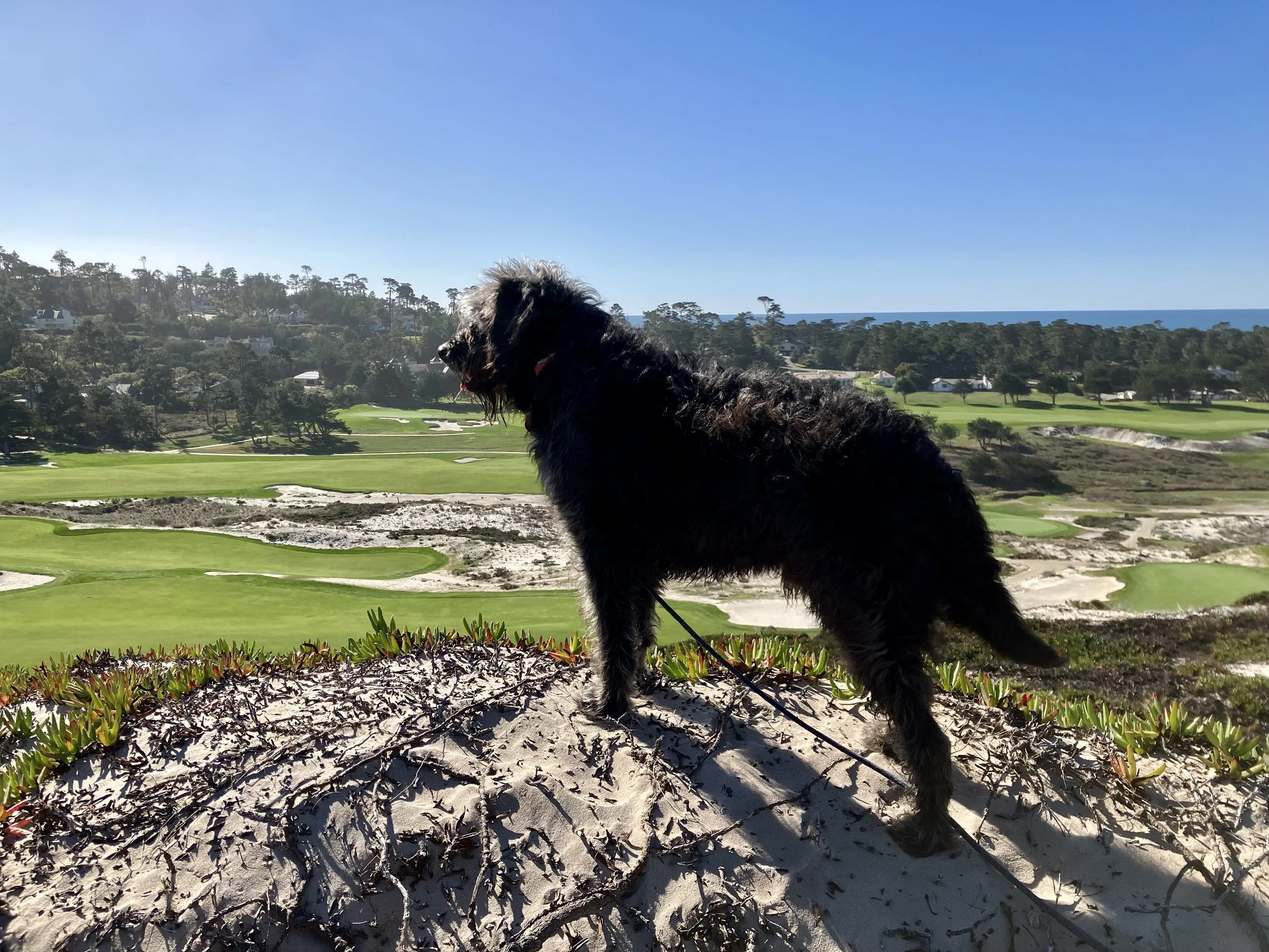 Monterey Peninsula CA