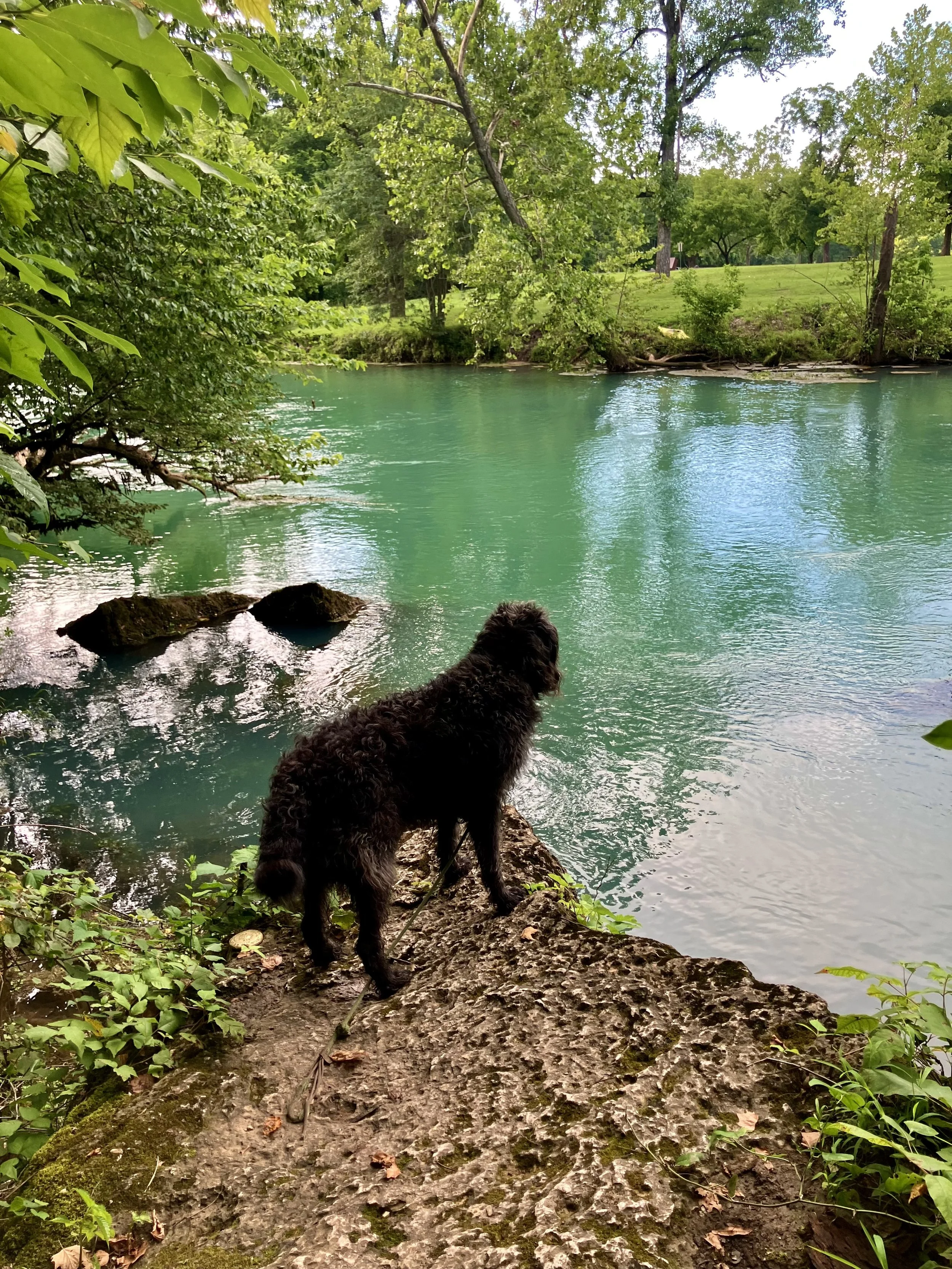 Ozarks AR/MO