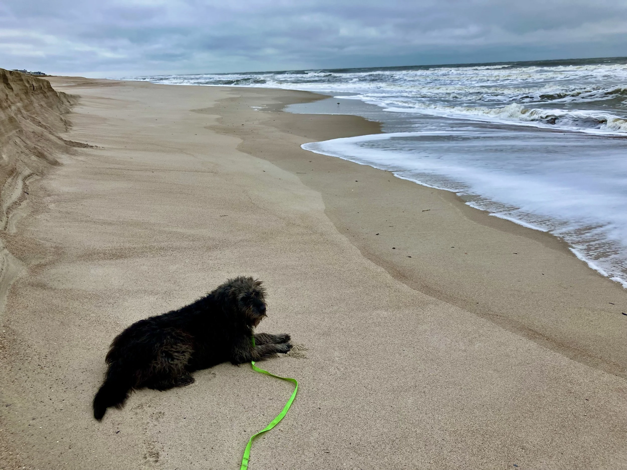 Amelia Island FL