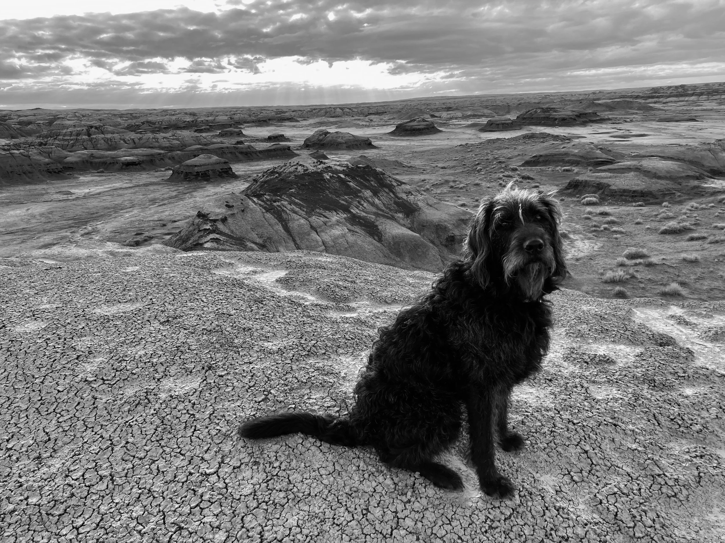 Bisti Wilderness NM