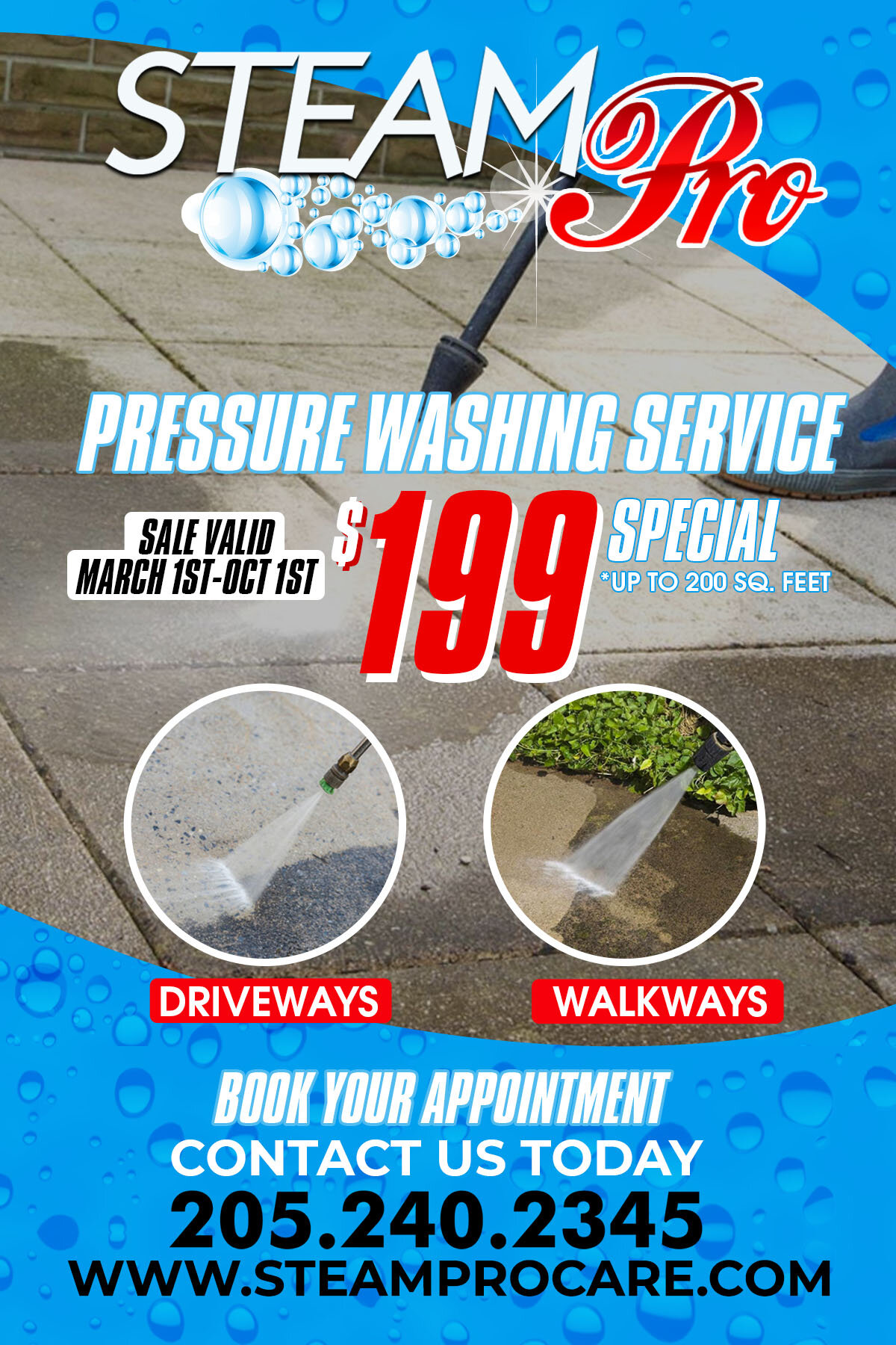 steamPro_pressurewashing_flyer2020.jpg