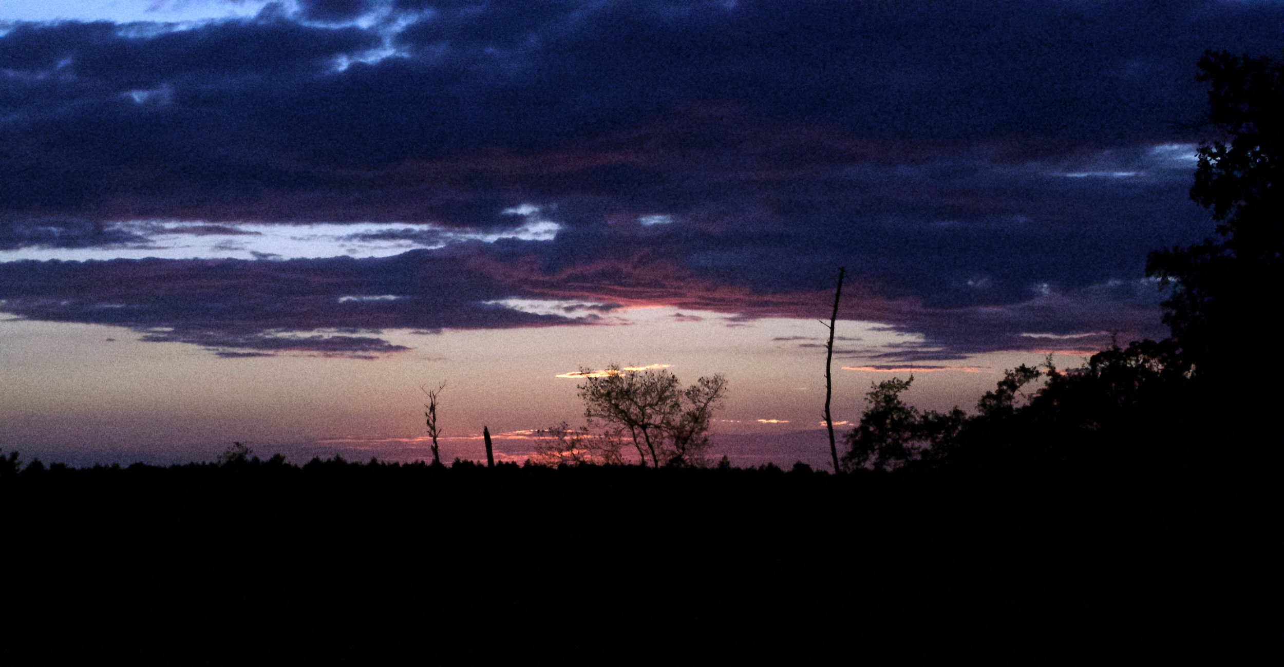 Sunset off Highway 19. Ocala Natl Forest, FL, 2016. Photo Credit: Stephen Feibelman