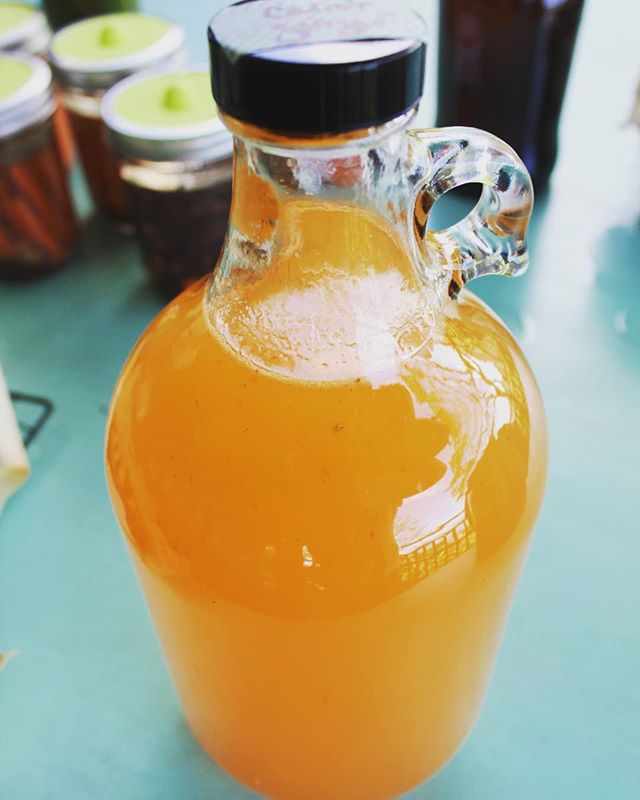 Trying out a new water kefir flavor: carrot ginger! 🥕🥕
.
.
.
#waterkefir #tibicos #guthealth #probiotic #fermented #scoby