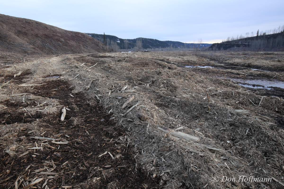 mulch4.jpg