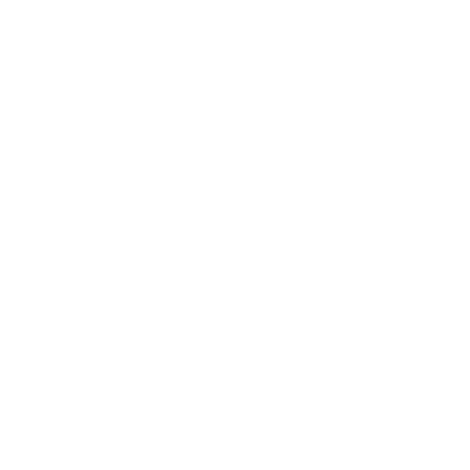 Point Fencing Club