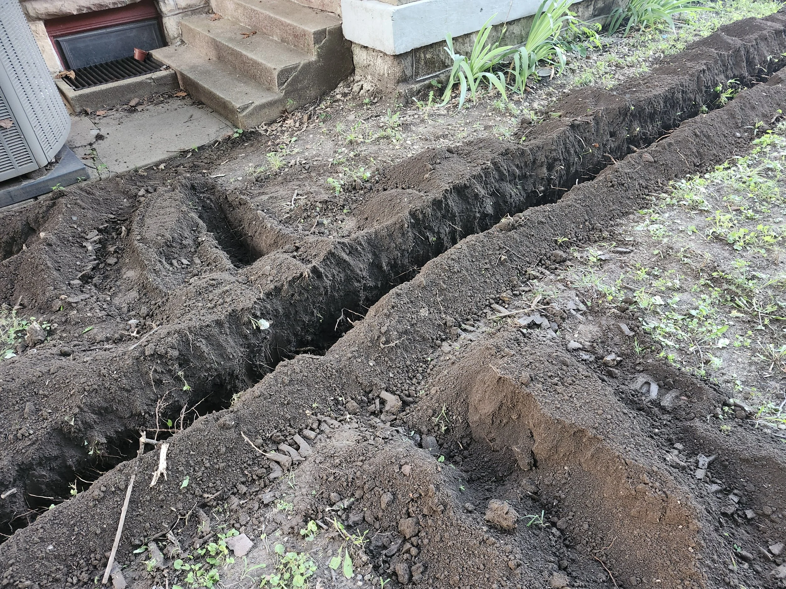 20250729_200849.jpg