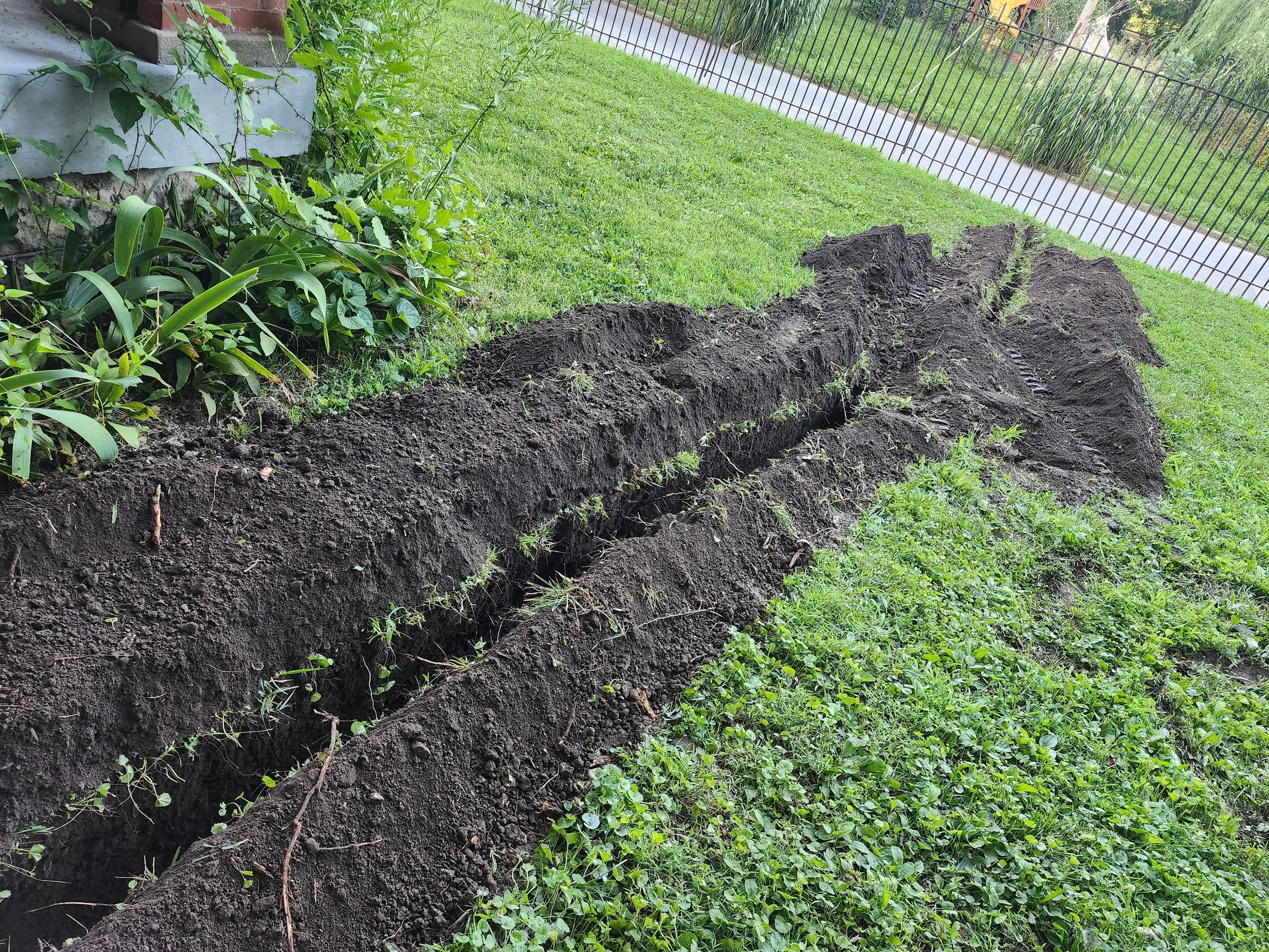20250729_200907.jpg