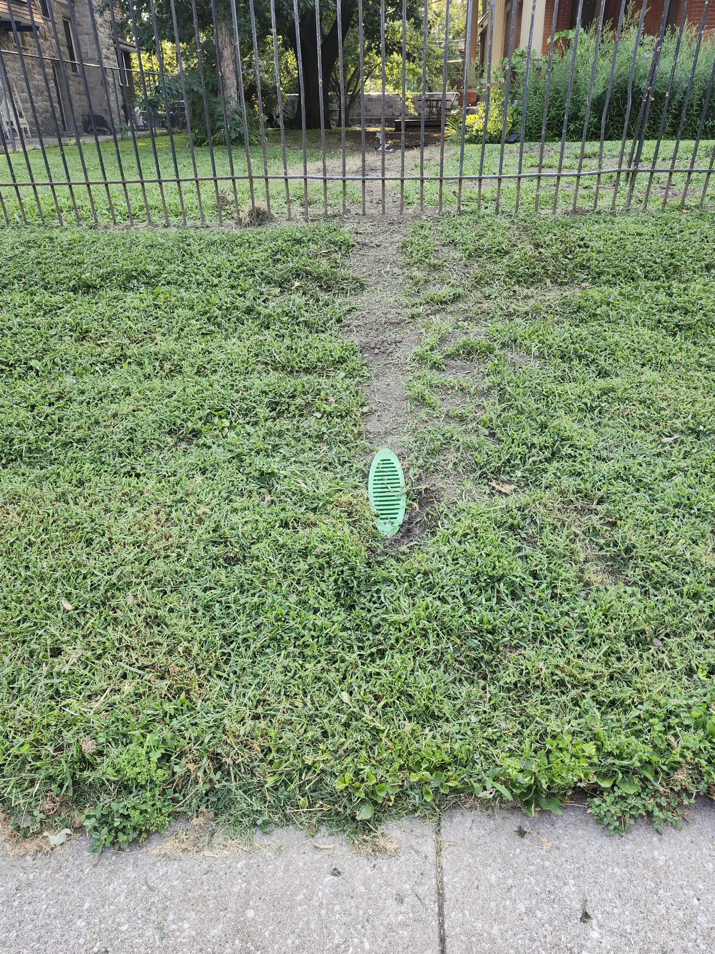 20250809_182443.jpg