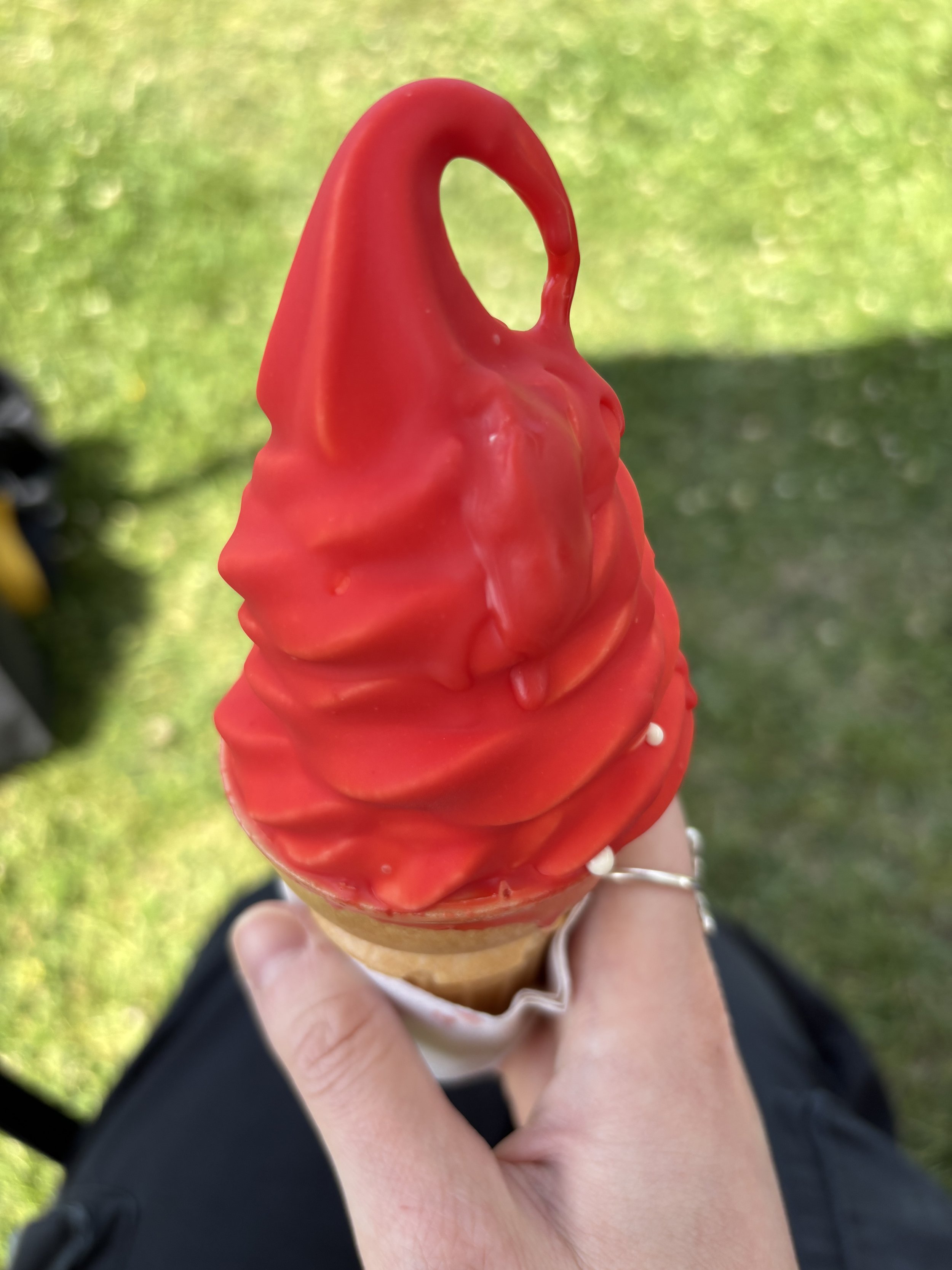 IMG_8108.jpeg