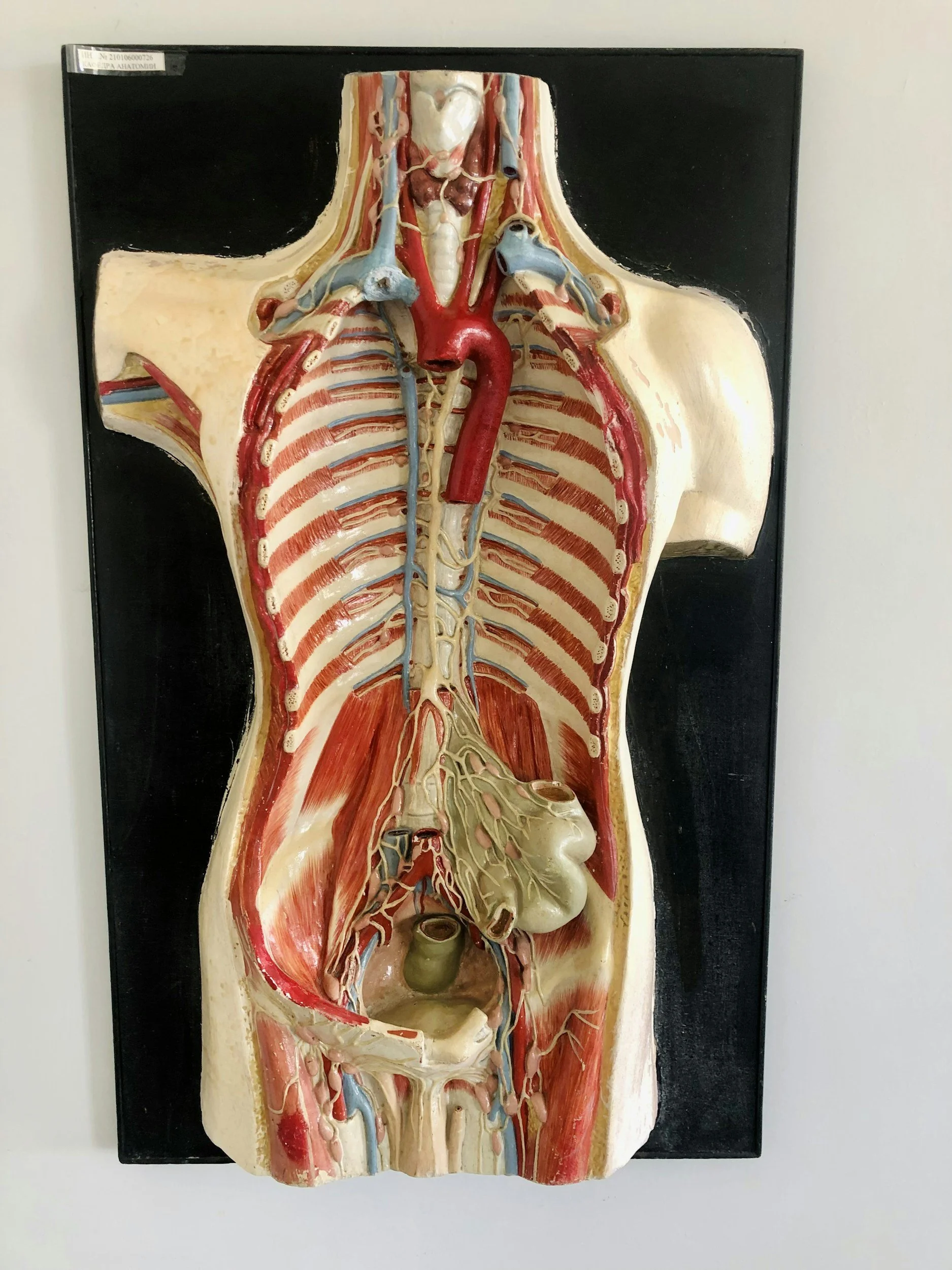 What is visceral mobilization/manipulation?